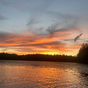 Meet your Posher, Chloe